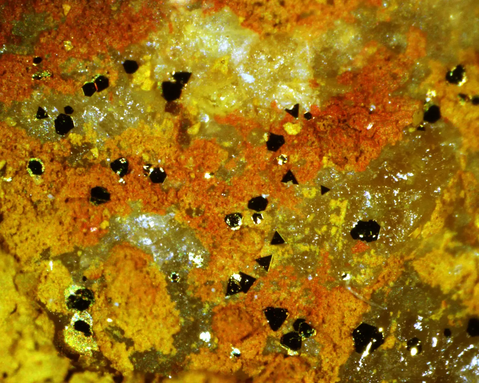 7. Life from Mineral Surfaces and Clay Templates (By division, CSIRO, CC BY 3.0)