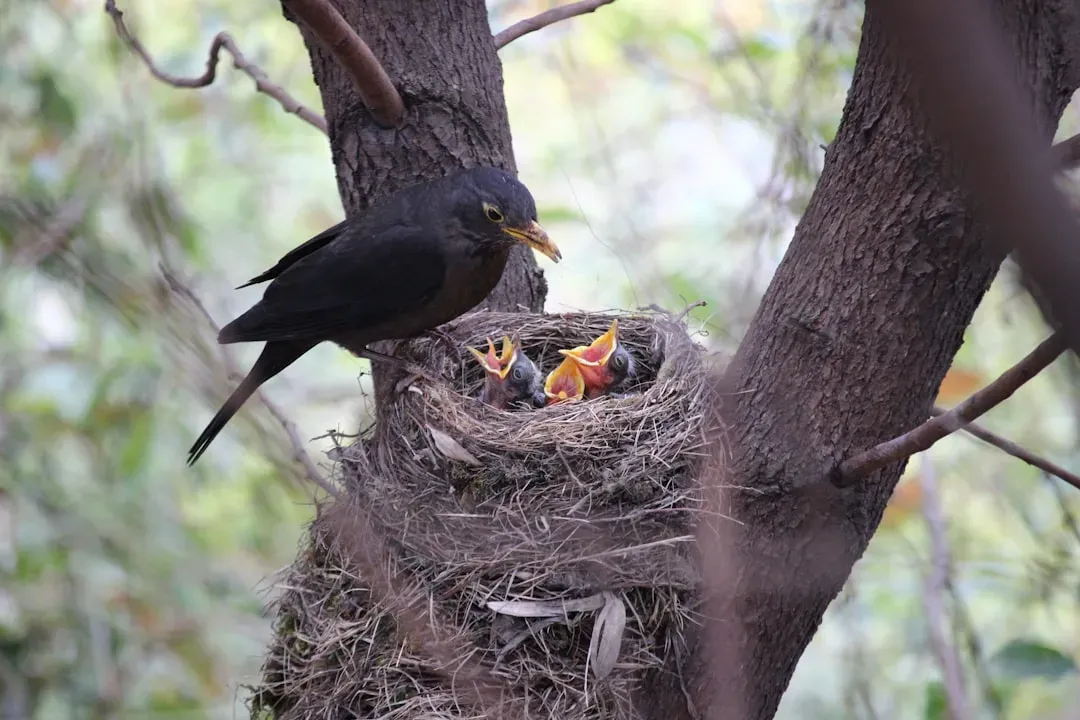 Conclusion – What These “Bad Parents” Really Tell You About Nature (Image Credits: Unsplash)