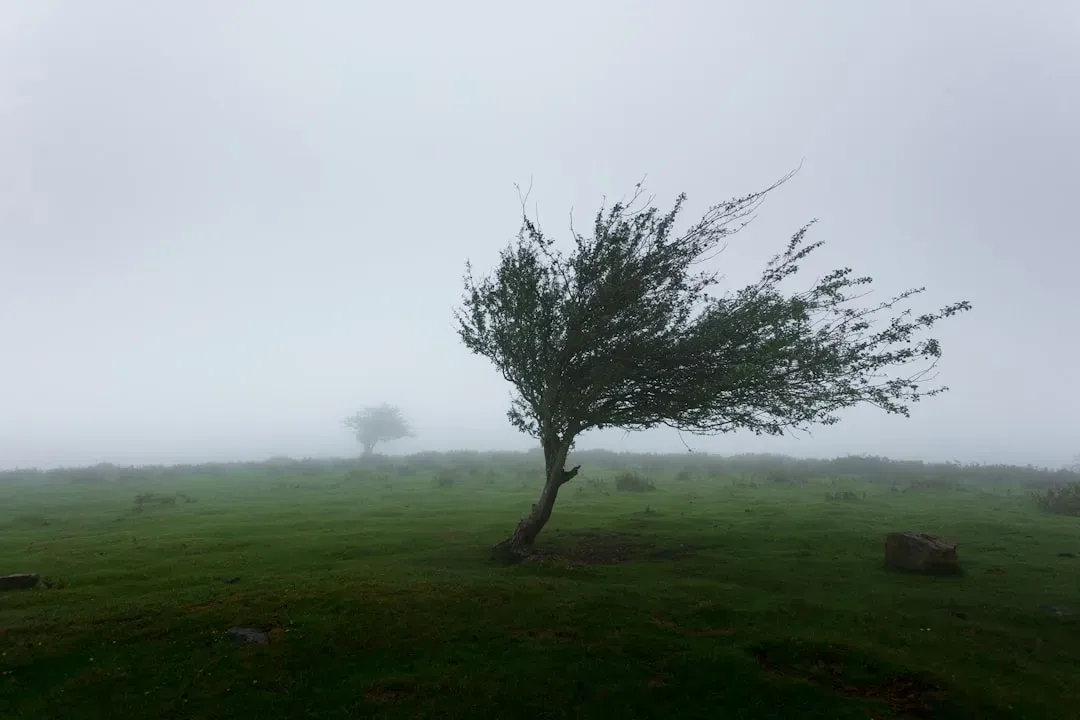 #13 - When The Wind Blows From The South, It Brings The Rain In Its Mouth (Image Credits: Unsplash)