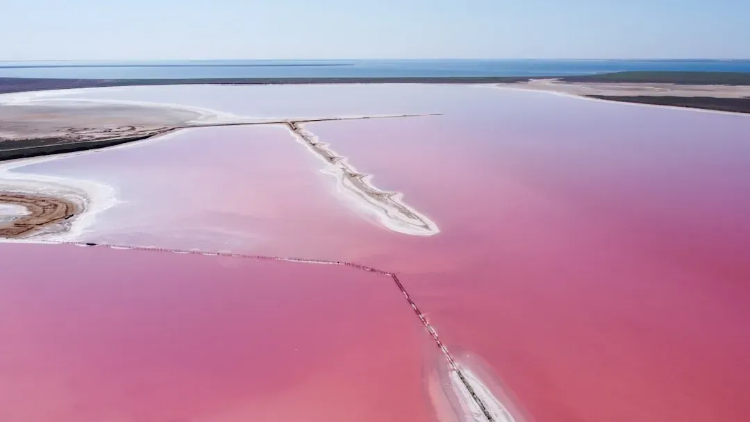 The Pink Lakes That Defy Your Eyes (Image Credits: Unsplash)