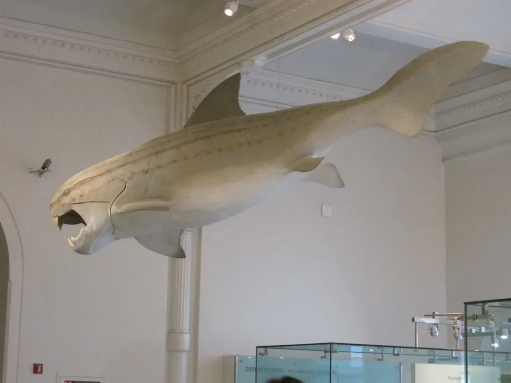 It Ruled Warm Coastal Seas, Not the Deep Dark Abyss (Image Credits: Flickr)