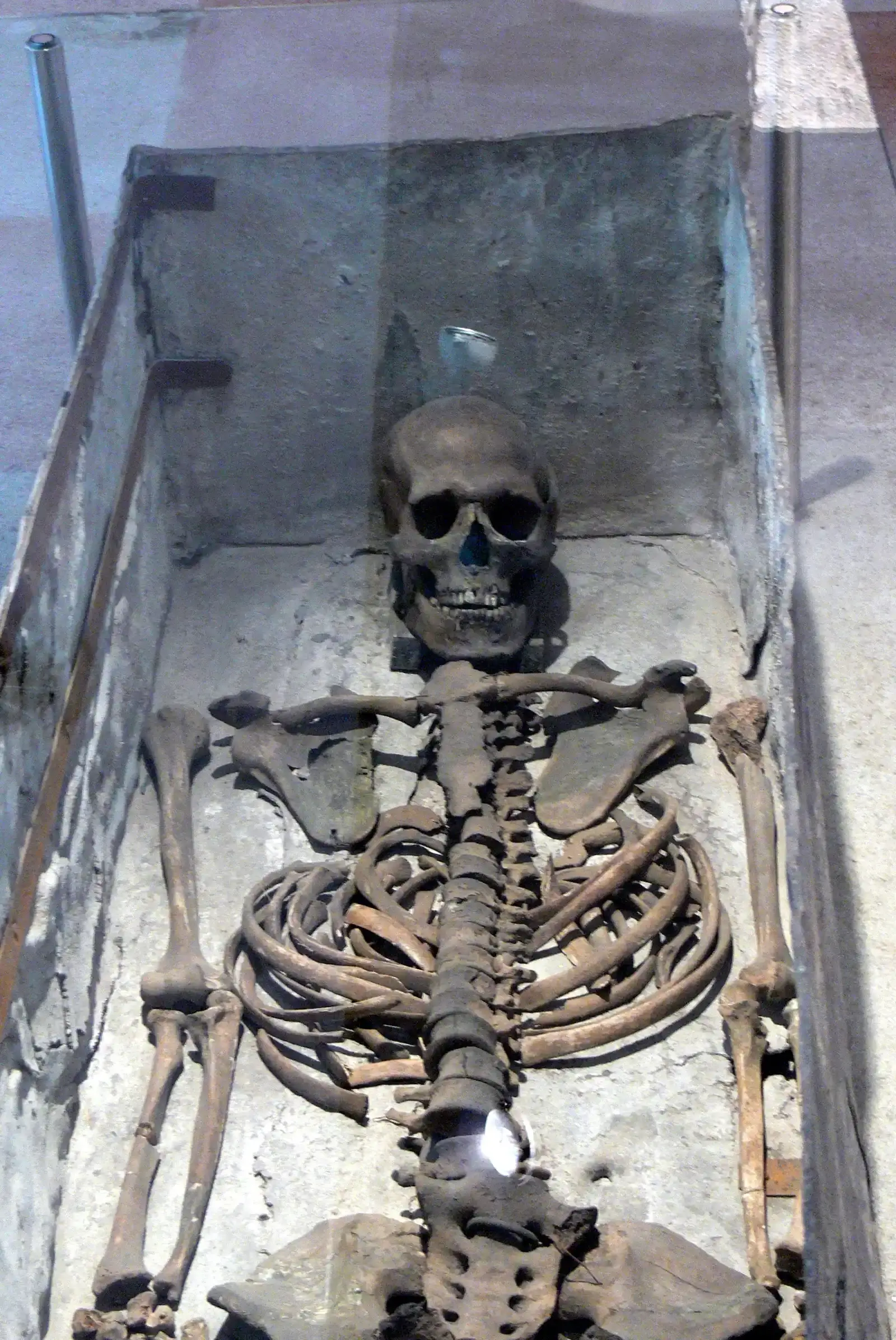 #1 - Repatriated Ancestors With Unpublished "Final" Tests (Self-photographed, CC BY-SA 3.0)