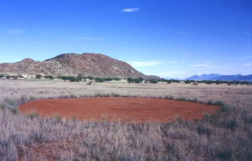 The Fairy Circles of Namibia (Image Credits: Wikimedia)