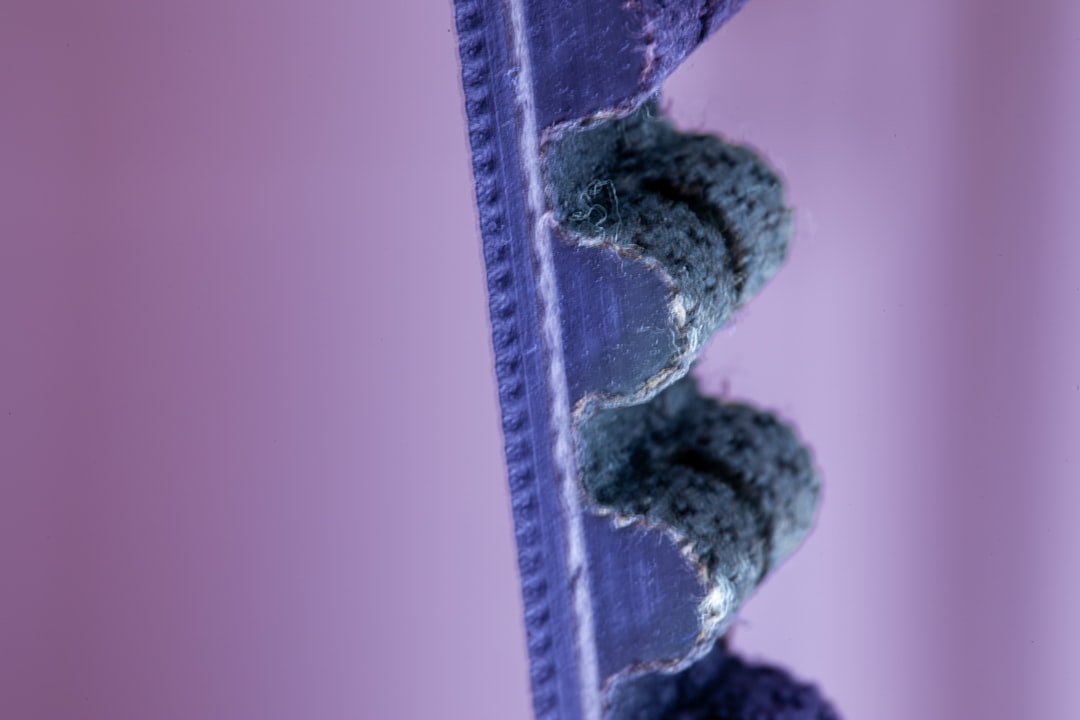 The Genetics of Staying Young: DNA Repair, Telomeres, and Stress (Image Credits: Unsplash)