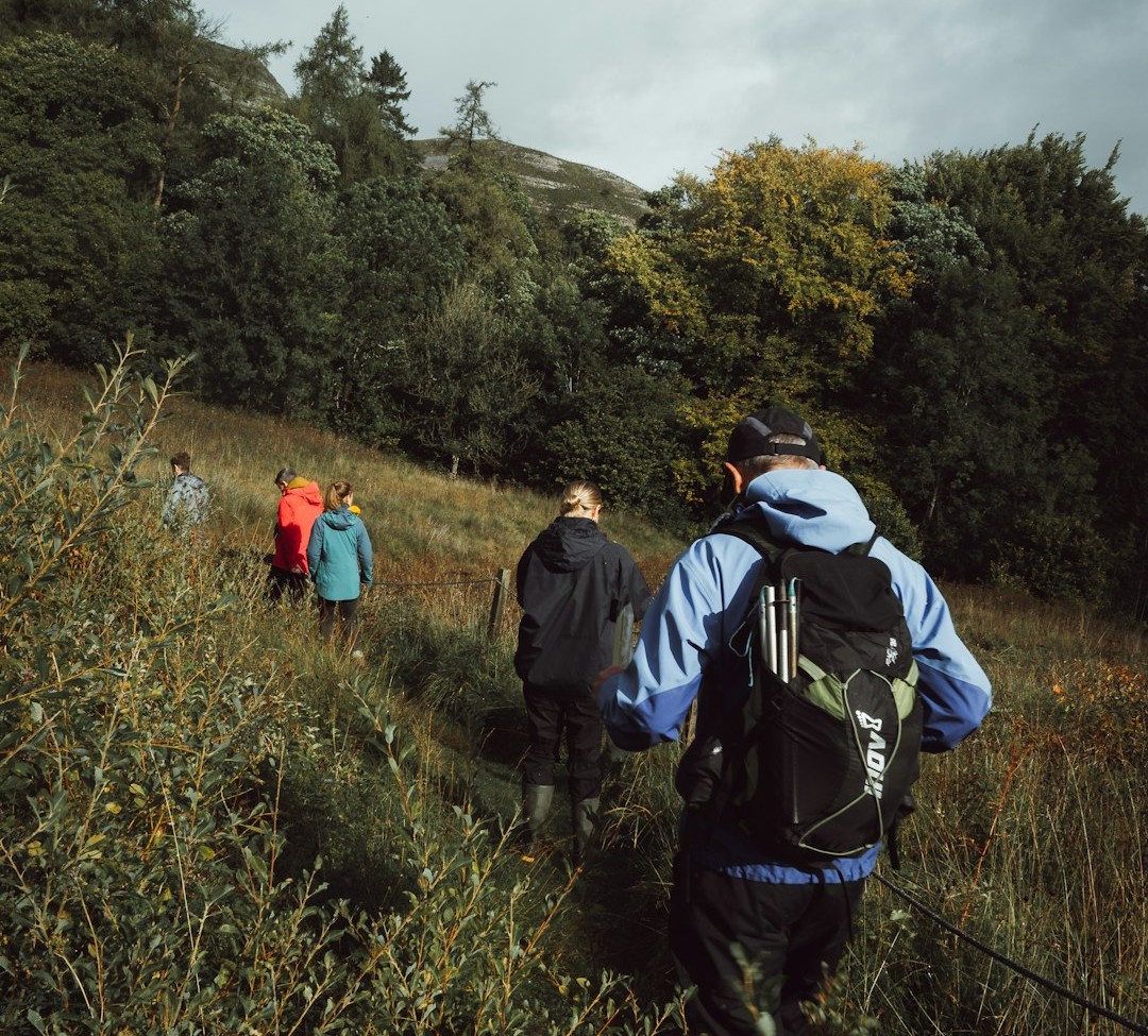 How You Can Help (Image Credits: Unsplash)