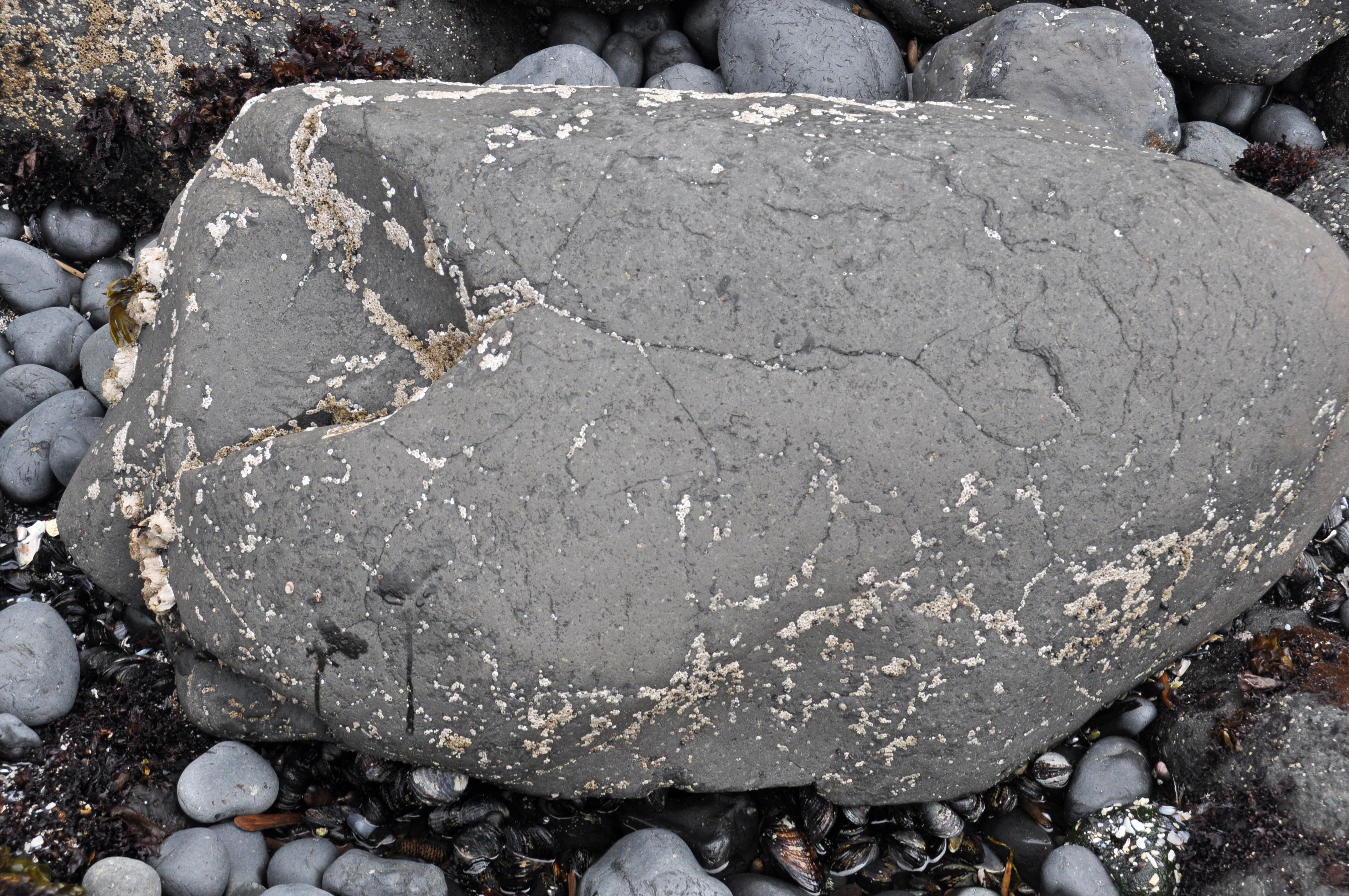 Volcanic Apocalypse: The Siberian Traps Eruption (Image Credits: Wikimedia)