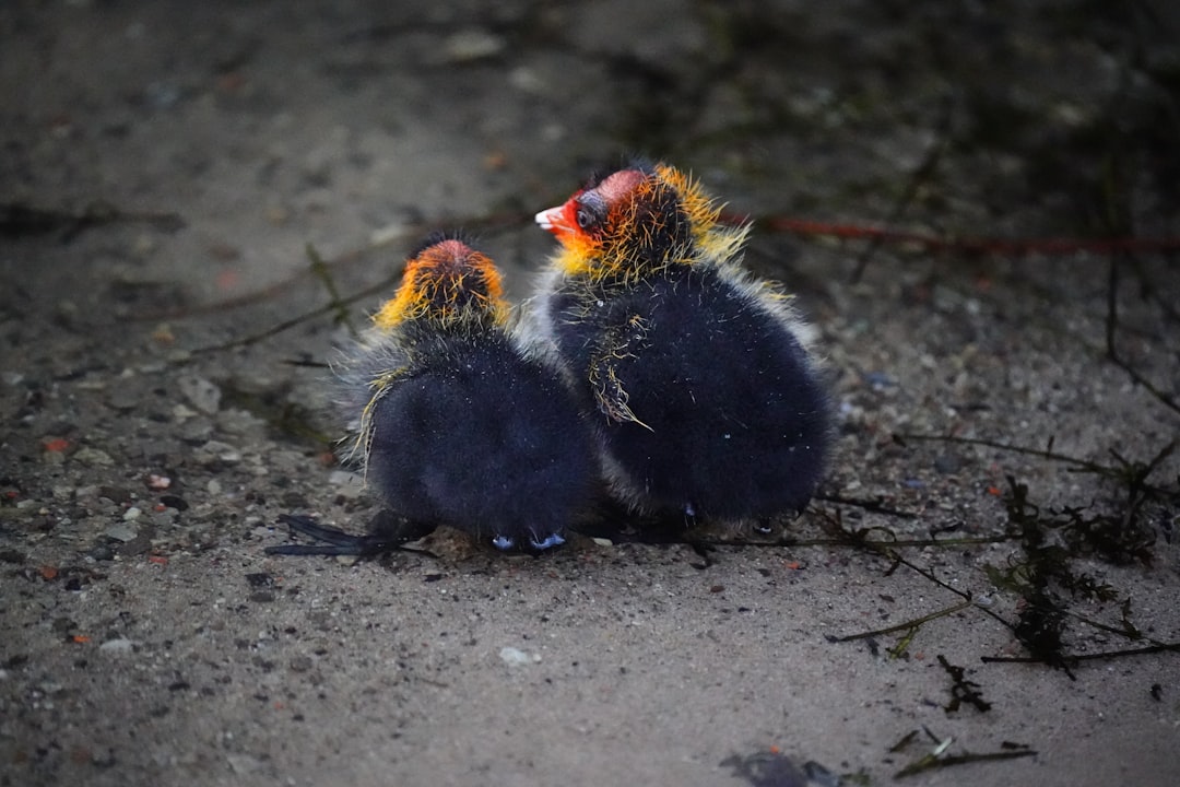 The Mismatch Problem (Image Credits: Unsplash)