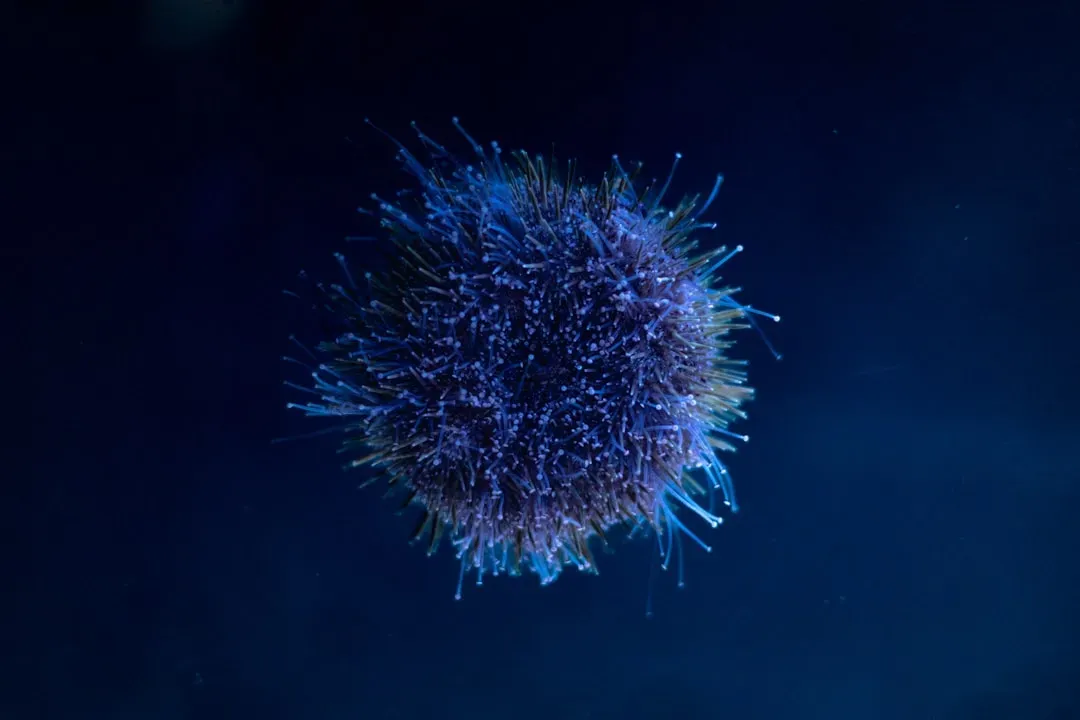 Immune Intelligence: Your Internal Security Force (Image Credits: Unsplash)