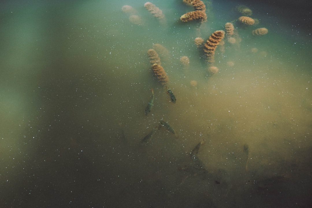 Microbial Life Thrives Beyond Expectations (Image Credits: Unsplash)
