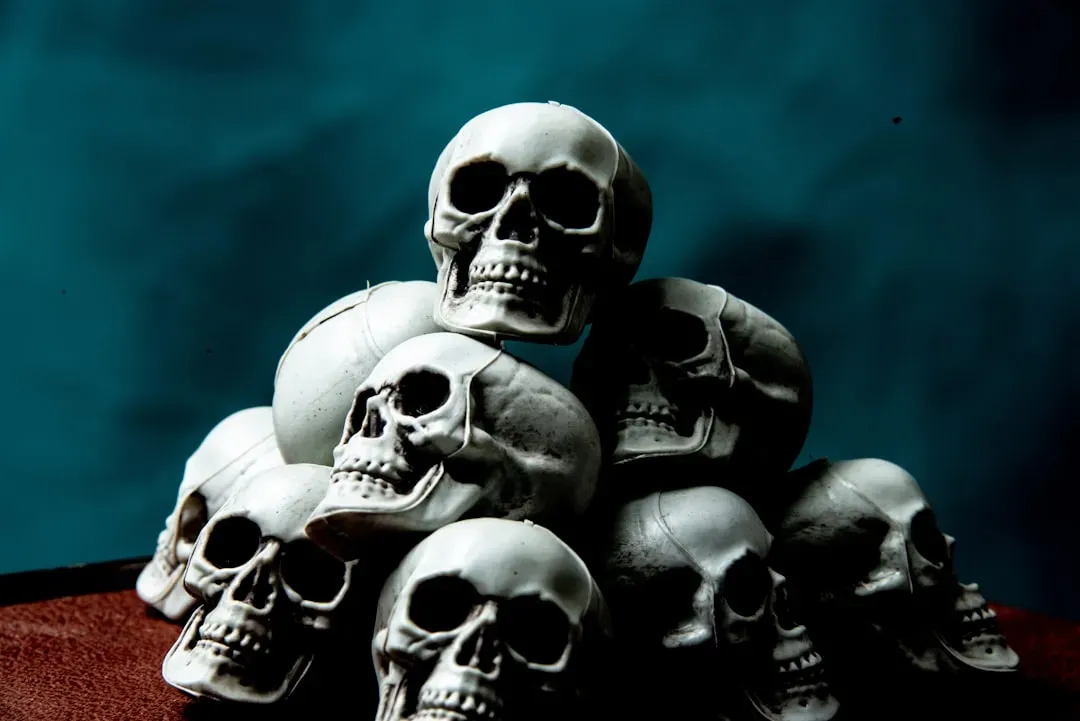 6. Trophy Skulls And Remains Taken In Colonial Wars (Image Credits: Unsplash)