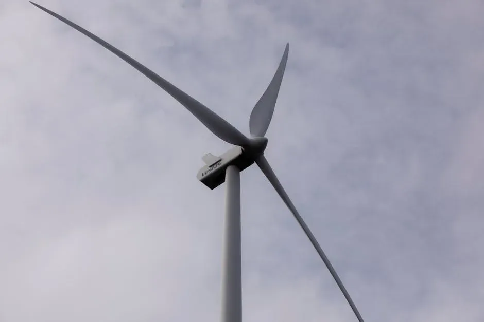 7. Whale-Inspired Wind Turbines for Better Energy Capture (Image Credits: Pexels)