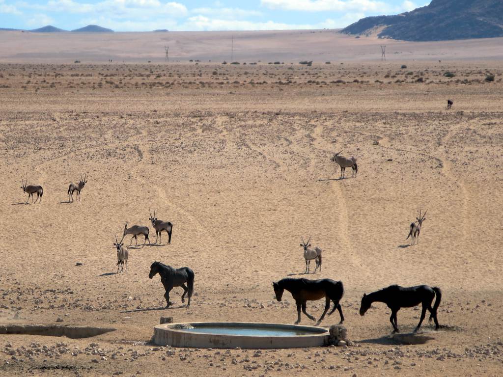 The Hidden Trade‑offs (Image Credits: Wikimedia)