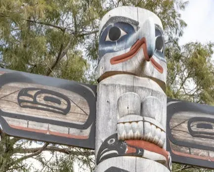 Survival, Misuse, and the Modern Pull of “Spirit Animals” (Image Credits: Pexels)