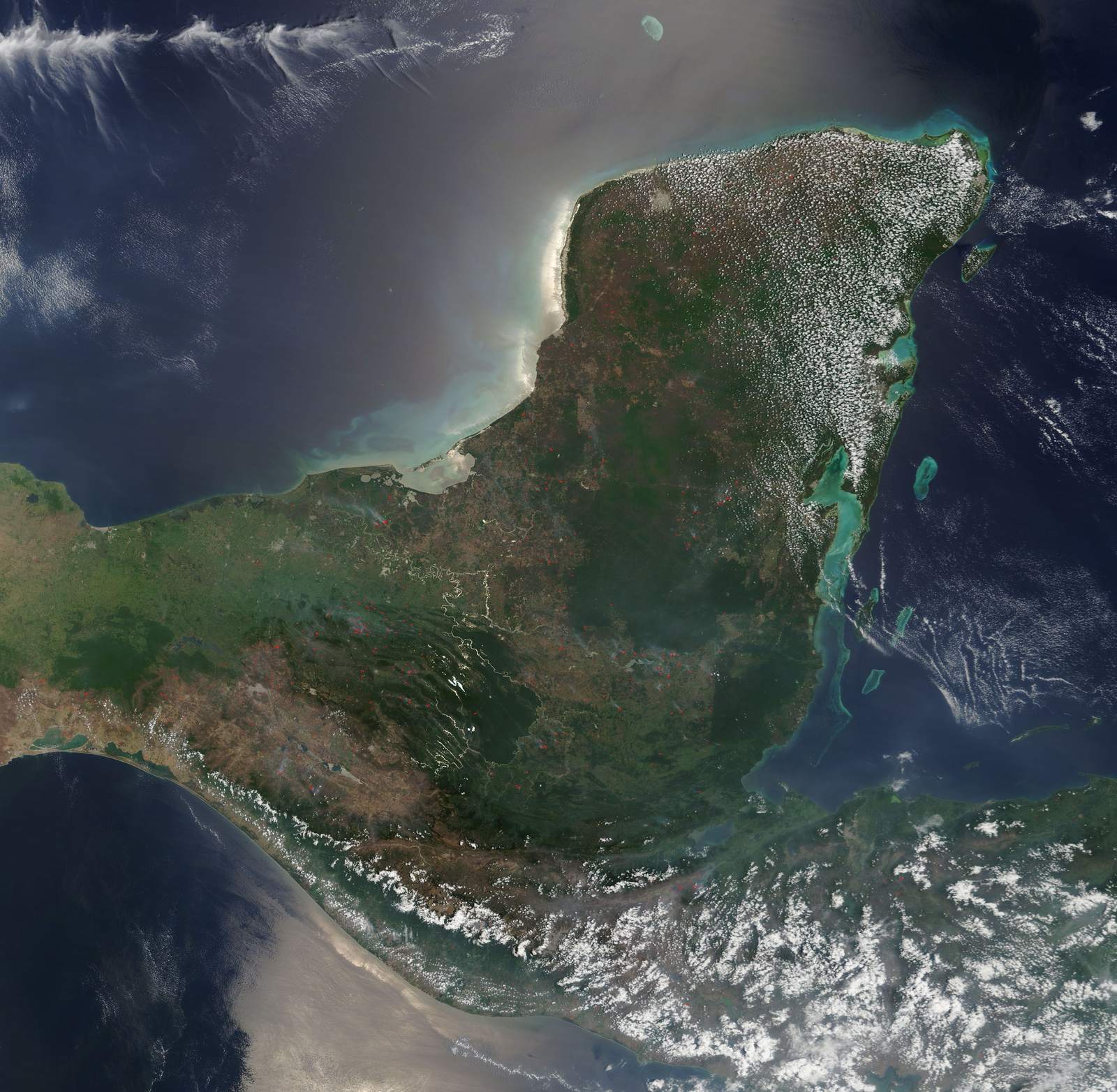 From Ancient Tools to Modern Science: What We Can Learn Without Touching (Image Credits: Wikimedia)