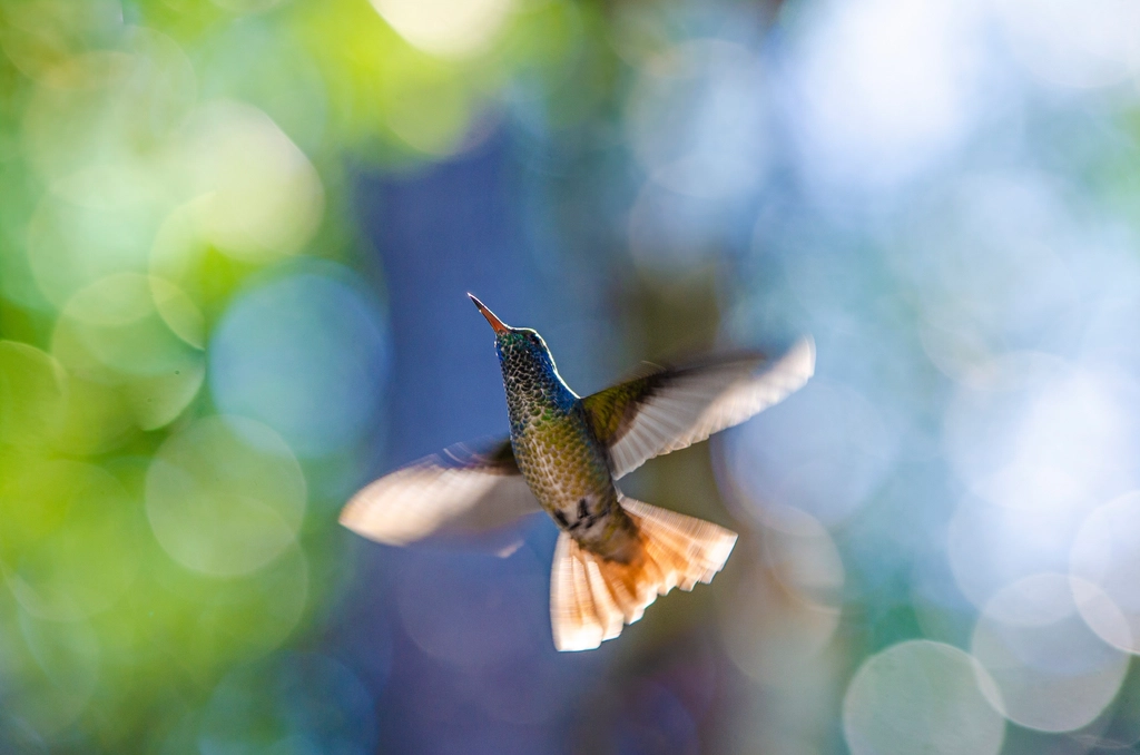 A Metabolic Engine on the Edge (Image Credits: Rawpixel)