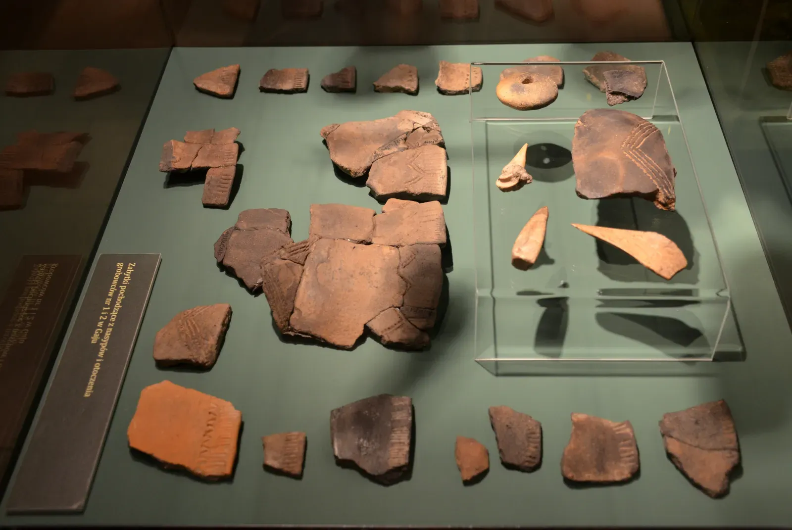 Conclusion: A Messier, More Interesting Human Story (Image Credits: Wikimedia)