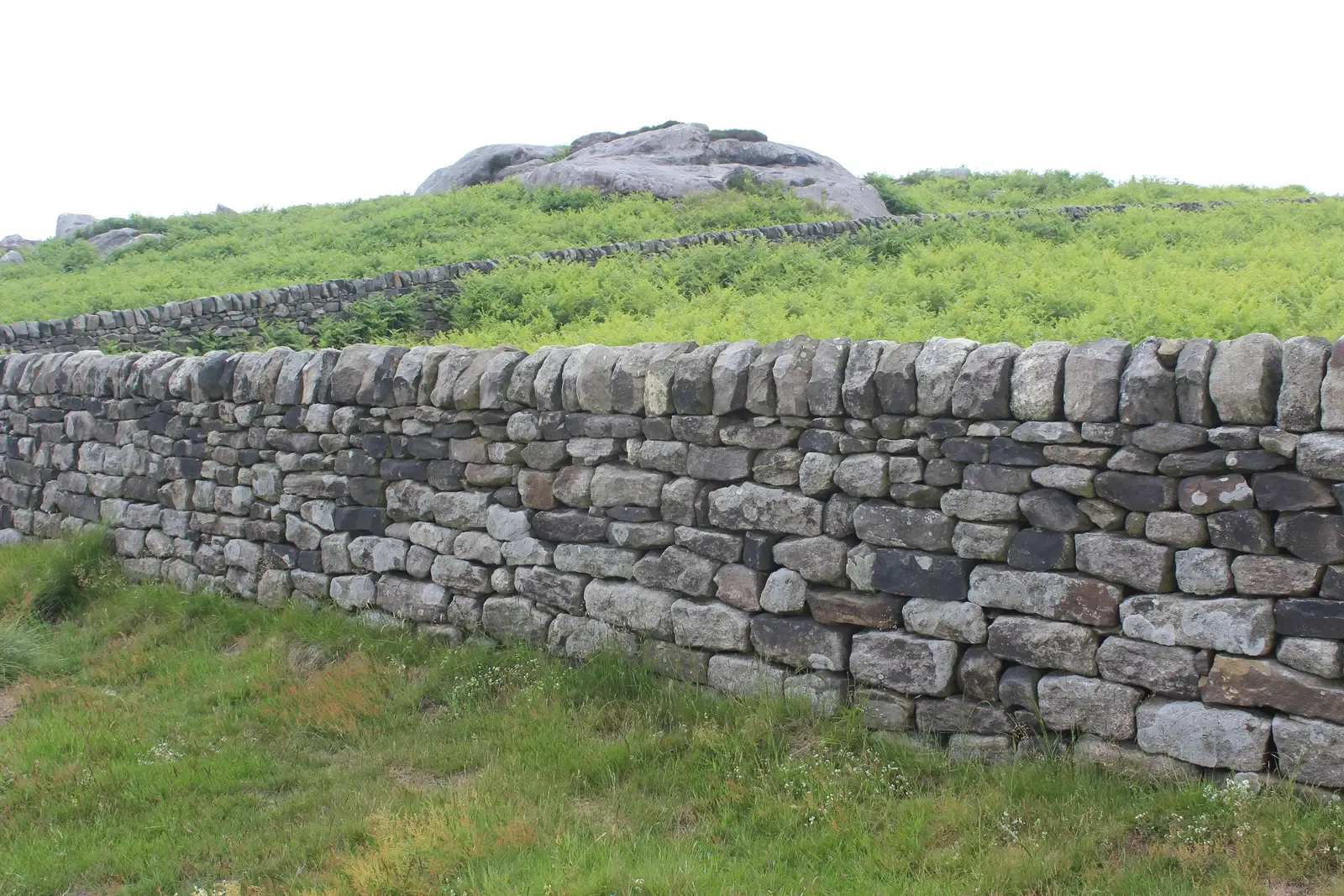 #8 - The Wall Shows Smart Flexibility, Not Fragile Rigidity (By Martinvl, CC BY-SA 4.0)