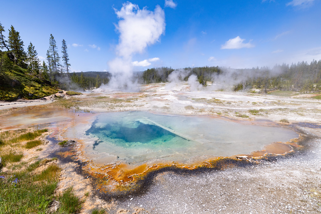 Shoshone Geyser Basin: The Quiet Giant's Chemistry (Image Credits: Flickr)