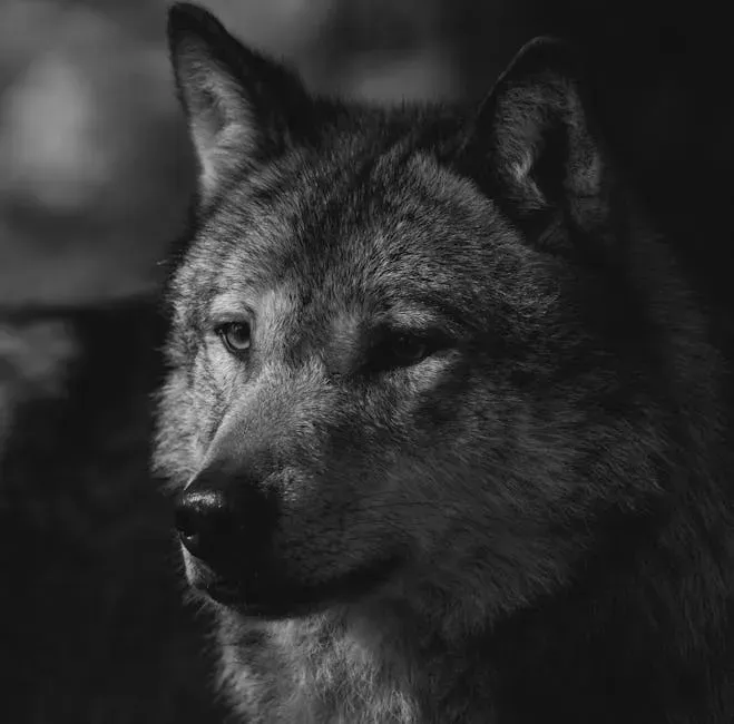 Dreams, Omens, And Synchronicities In Everyday Life (Image Credits: Pexels)