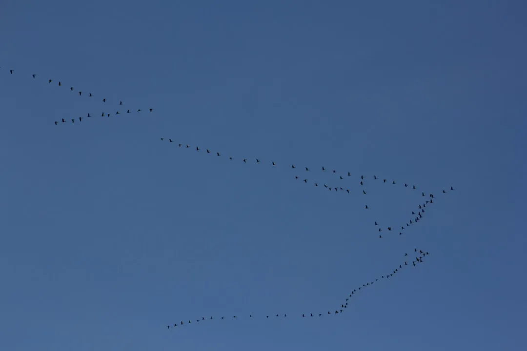 Following the Stars Like Ancient Mariners (Image Credits: Unsplash)