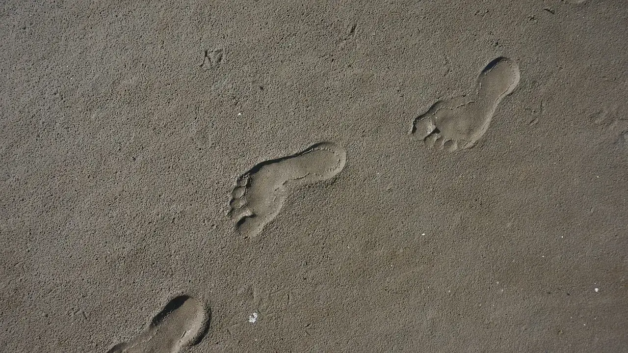 Ancient Footprints And Surprising Evidence From The Ground (Image Credits: Pixabay)