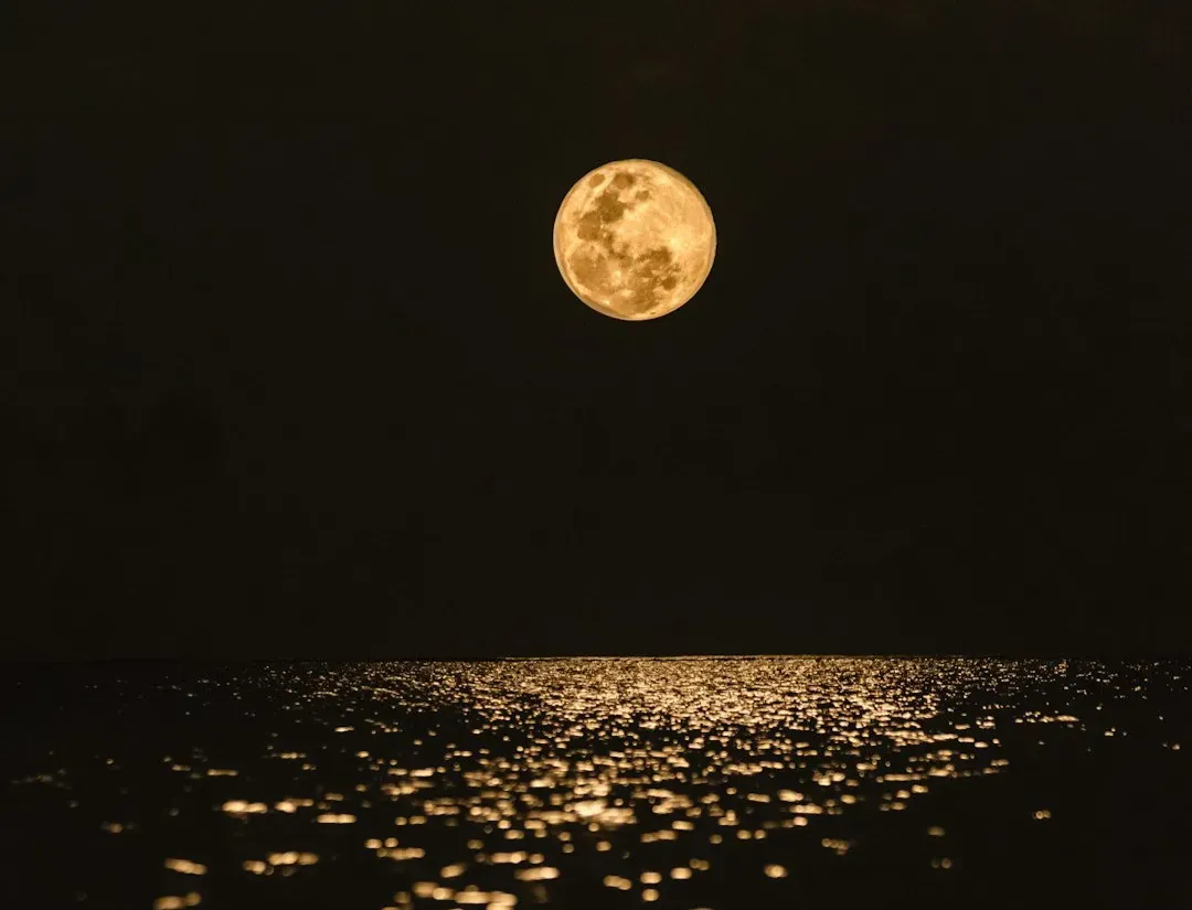 #6 - Clear Moon, Frost Soon (Image Credits: Unsplash)