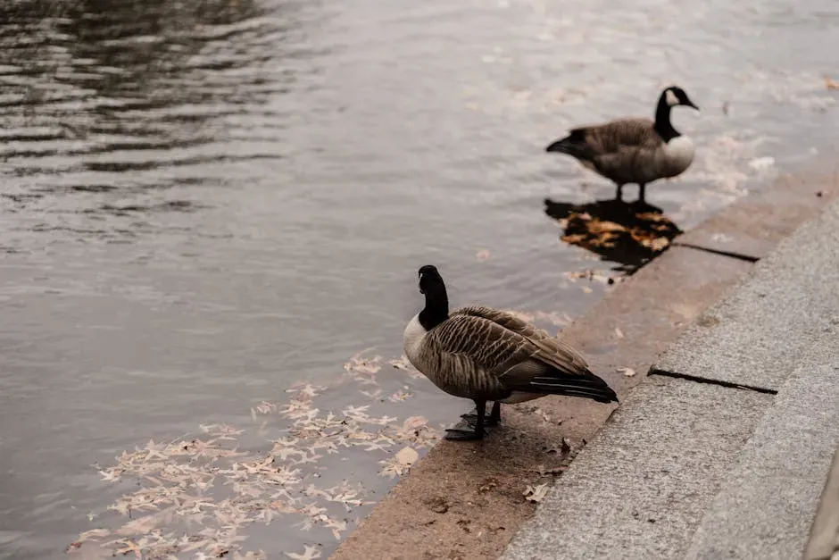 10. Sudden Interest In Higher Perches Or Slight Elevations (Image Credits: Pexels)