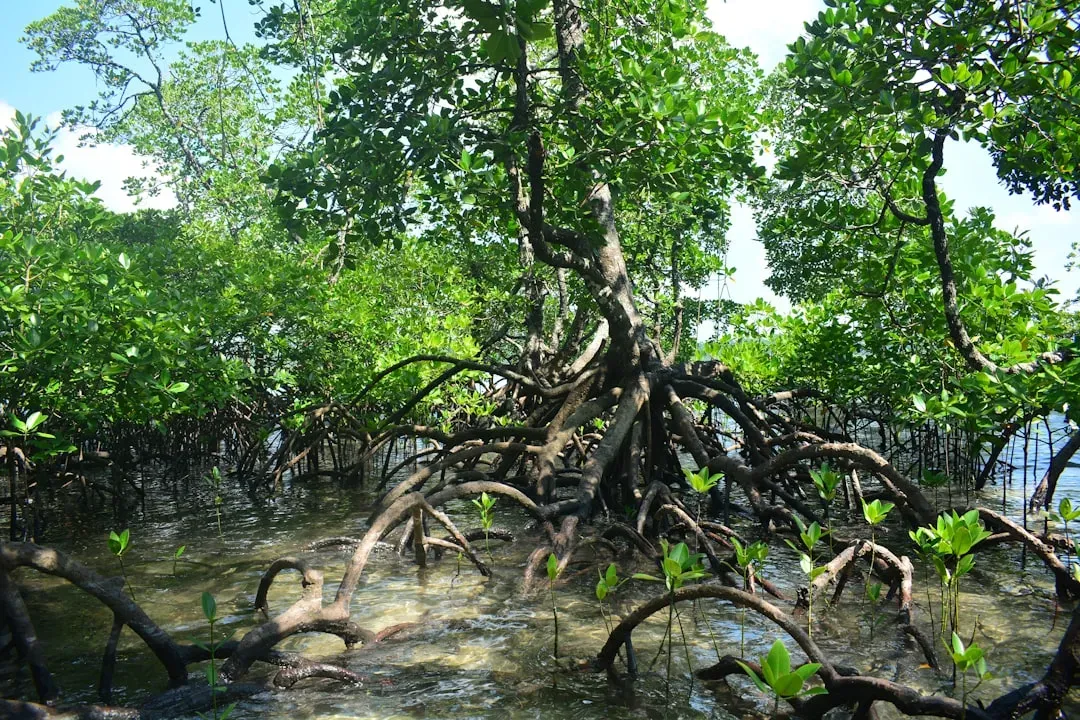 Guardians Against Erosion in a State That’s Literally Crumbling Away (Image Credits: Unsplash)