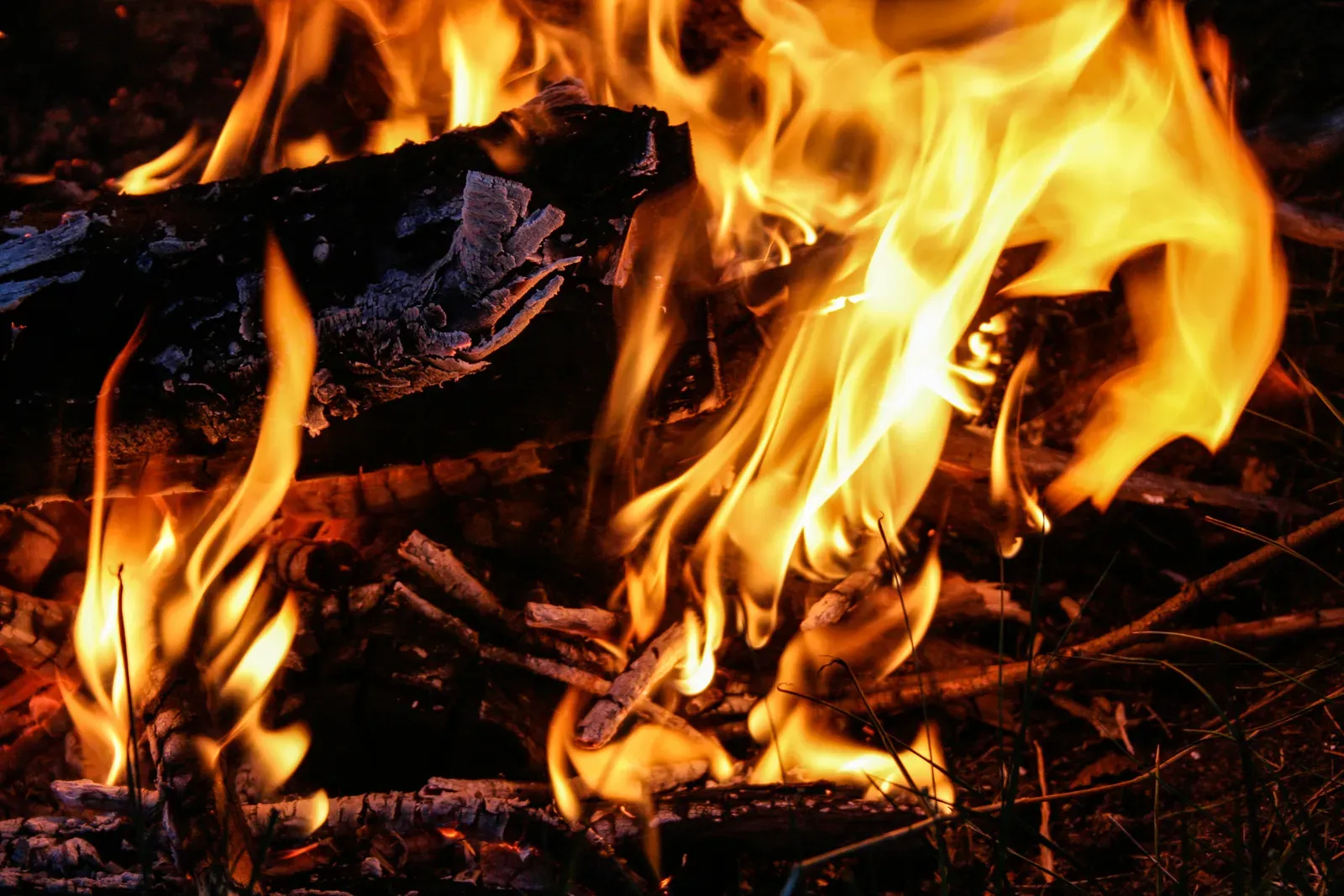 1. Fire: The Original Technology That Rewired Our Brains (Campfire, CC BY 2.0)