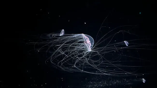 6. It Has Spread Around the World – Largely Thanks to Us (Image Credits: Pexels)