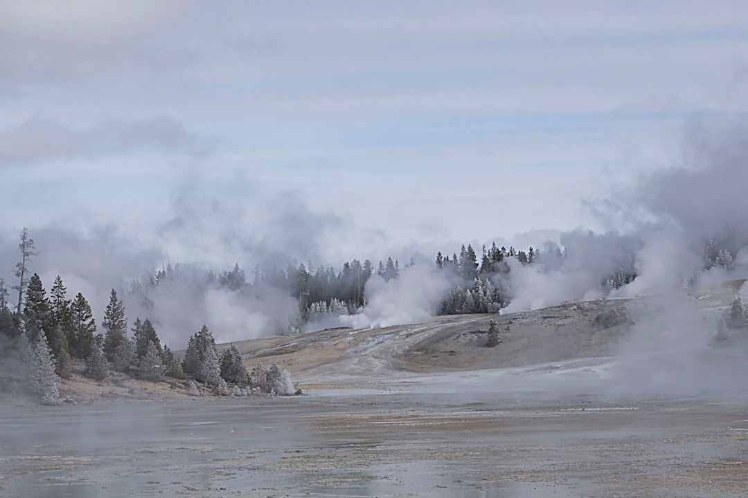 Yellowstone's Deadly Gas Concentrations (Image Credits: Unsplash)