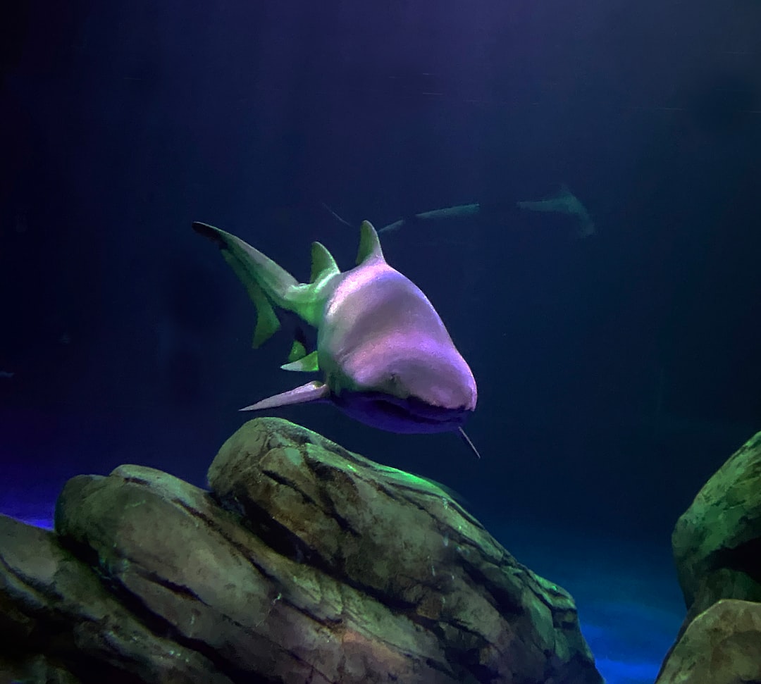 Myth 8: This doesn’t affect you (Why it matters) (Image Credits: Unsplash)