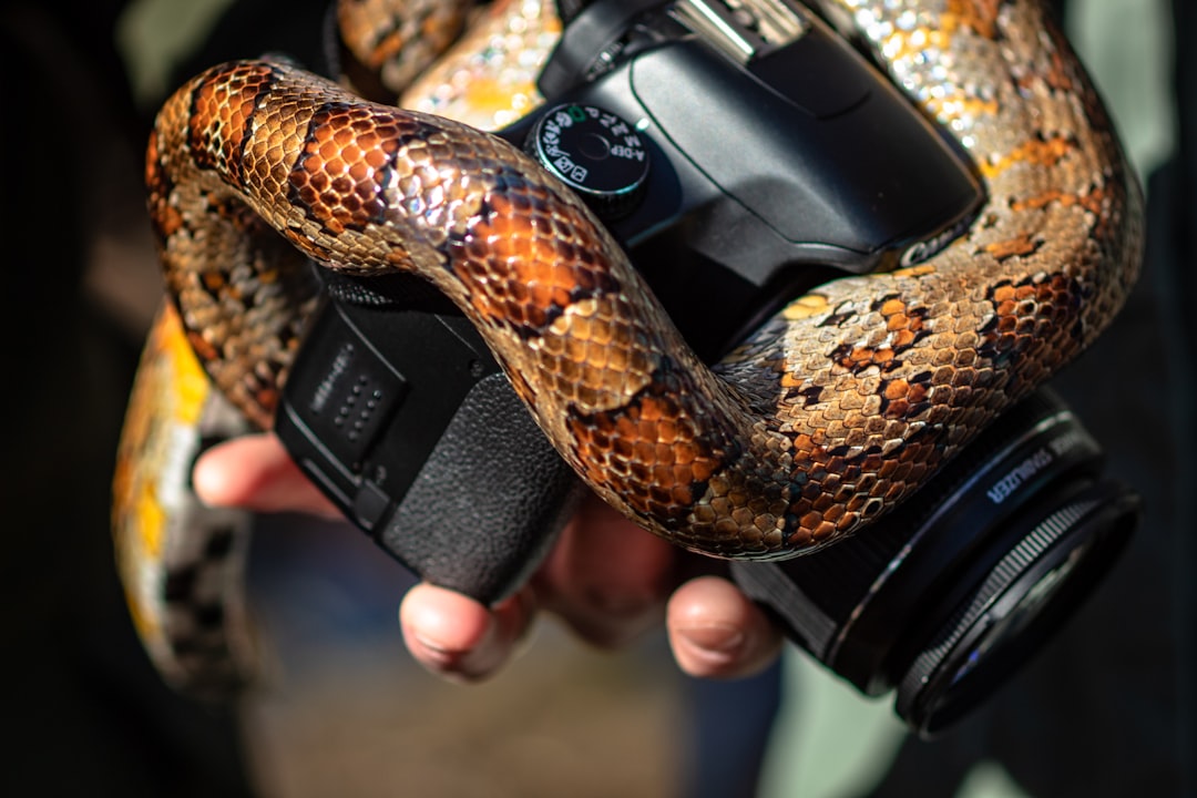 From Ancient Tools to Modern Science (Image Credits: Unsplash)