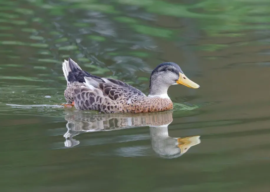 Tail Wagging as a Water Management Tool (Image Credits: Pexels)
