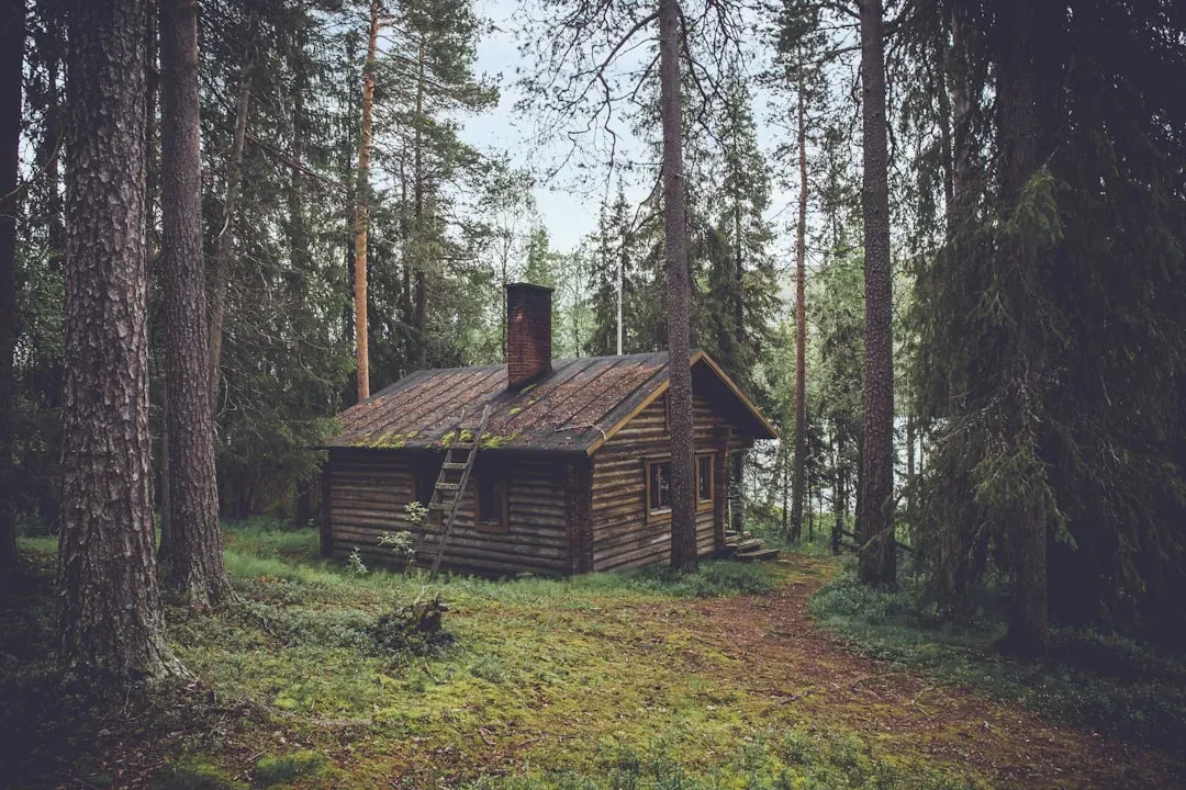 Taurus: The Earth Lover’s Dream Cabin (Image Credits: Unsplash)