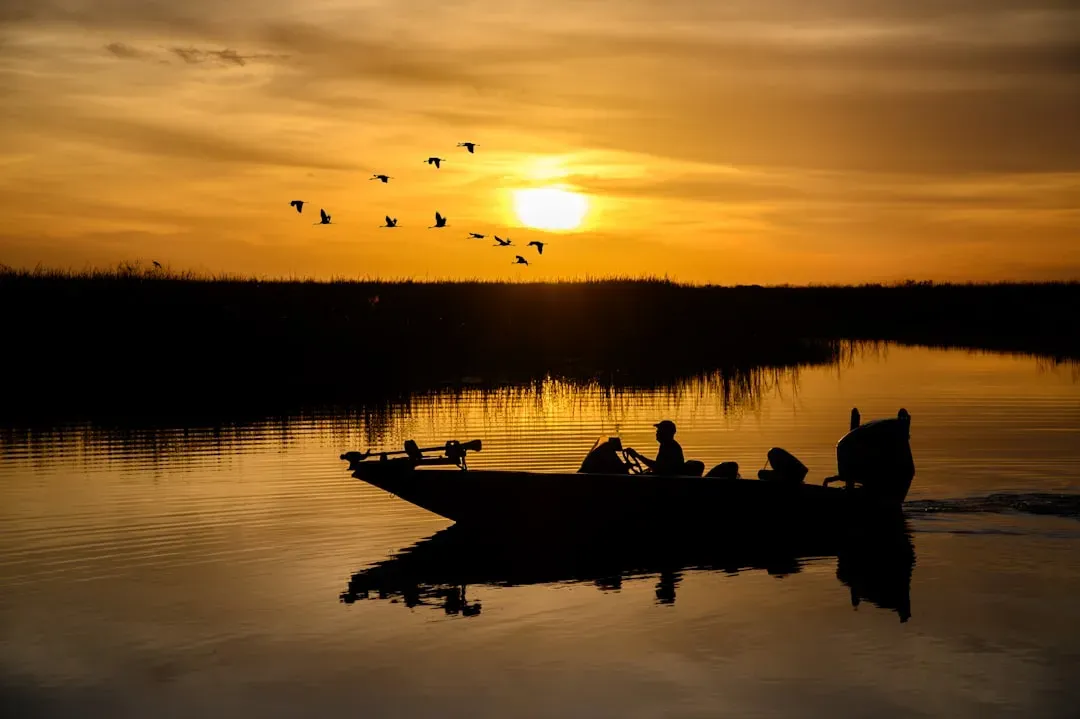 8. Tribal Leadership and Co-Management Are Shaping a Fairer Future (Image Credits: Unsplash)