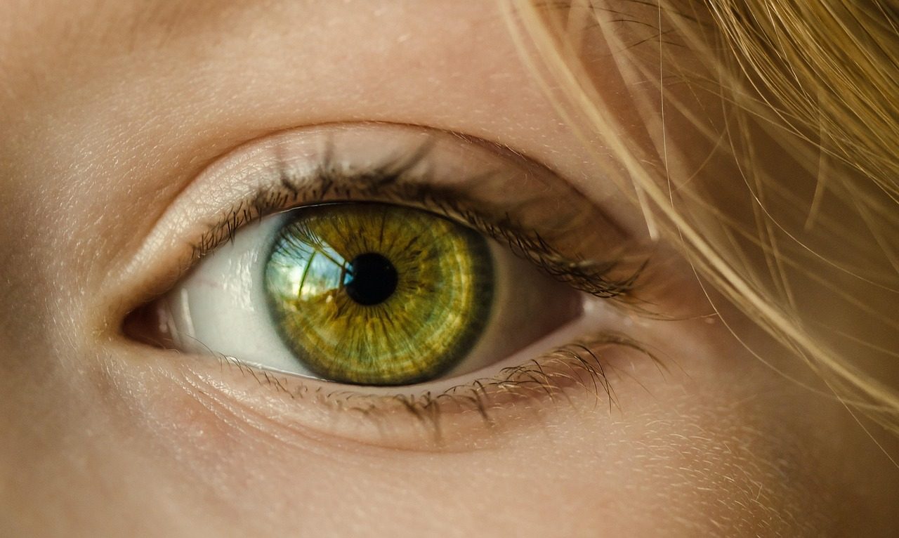 How Your Eyes Capture Light (Image Credits: Pixabay)