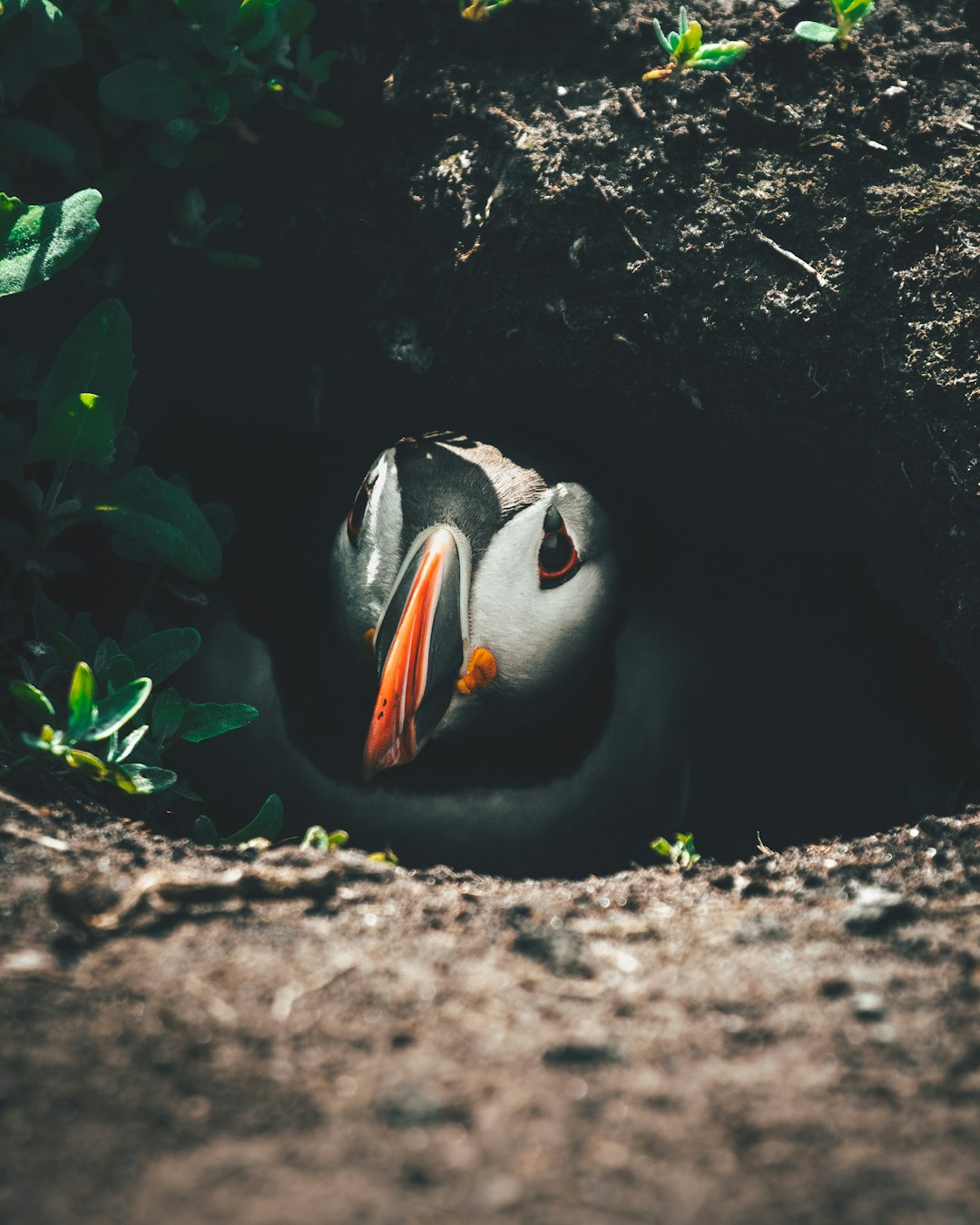 The Future Landscape (Image Credits: Unsplash)