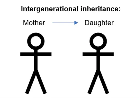 From Parents to Children? The Controversial Question of Inherited Effects (Image Credits: Wikimedia)