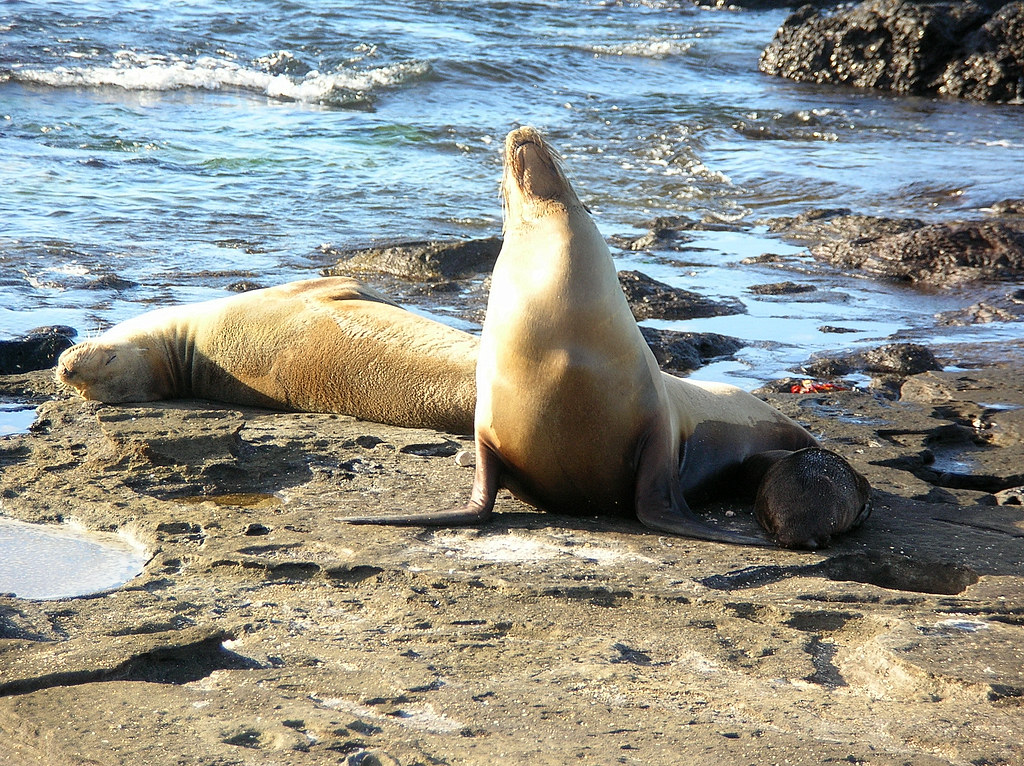 Climate Resilience in Action (Image Credits: Flickr)