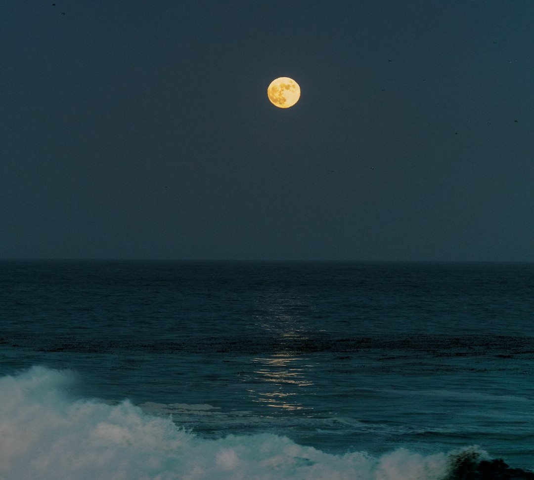 Why It Matters: From Culture to Conservation (Image Credits: Unsplash)