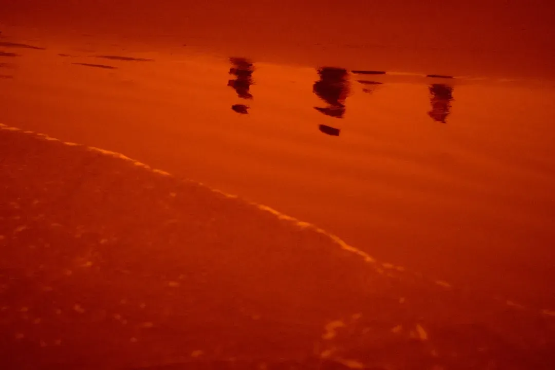 6. Red Tides and Blood‑Red Water: When the Ocean Looks Like It’s Bleeding (Image Credits: Unsplash)