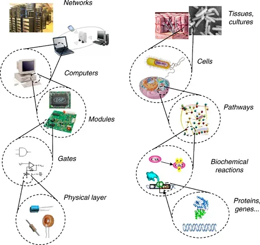 How Scientists Are Actually Designing New Life (Image Credits: Wikimedia)