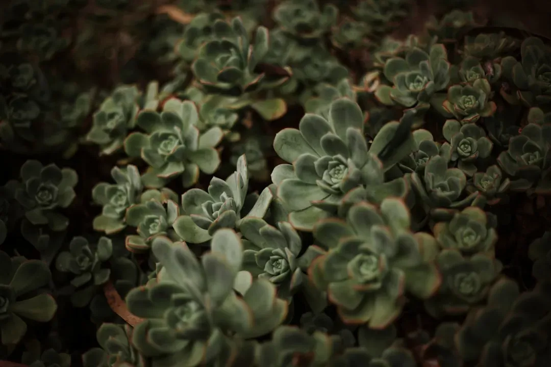 2. Breathing at Night to Beat the Heat (Image Credits: Unsplash)