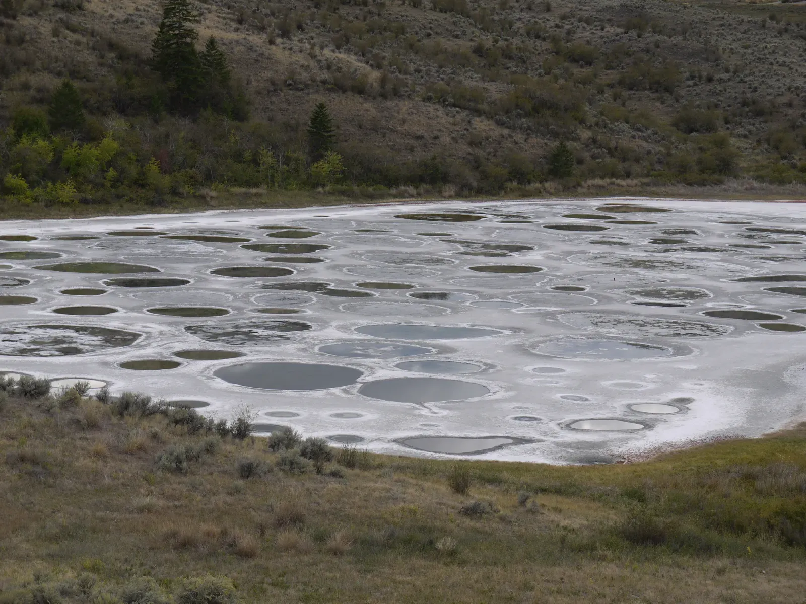 Spotted Lake, Canada – A Mineral Mosaic That Appears Every Summer (Spotted Lake, CC BY-SA 2.0)