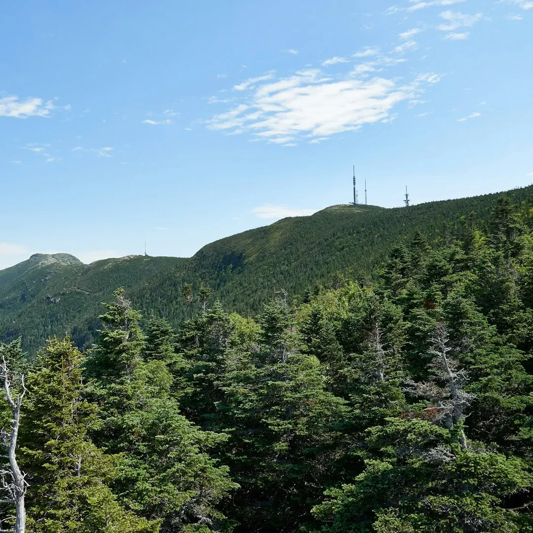 Conclusion: The Hidden Conversations Around Us (Image Credits: Unsplash)