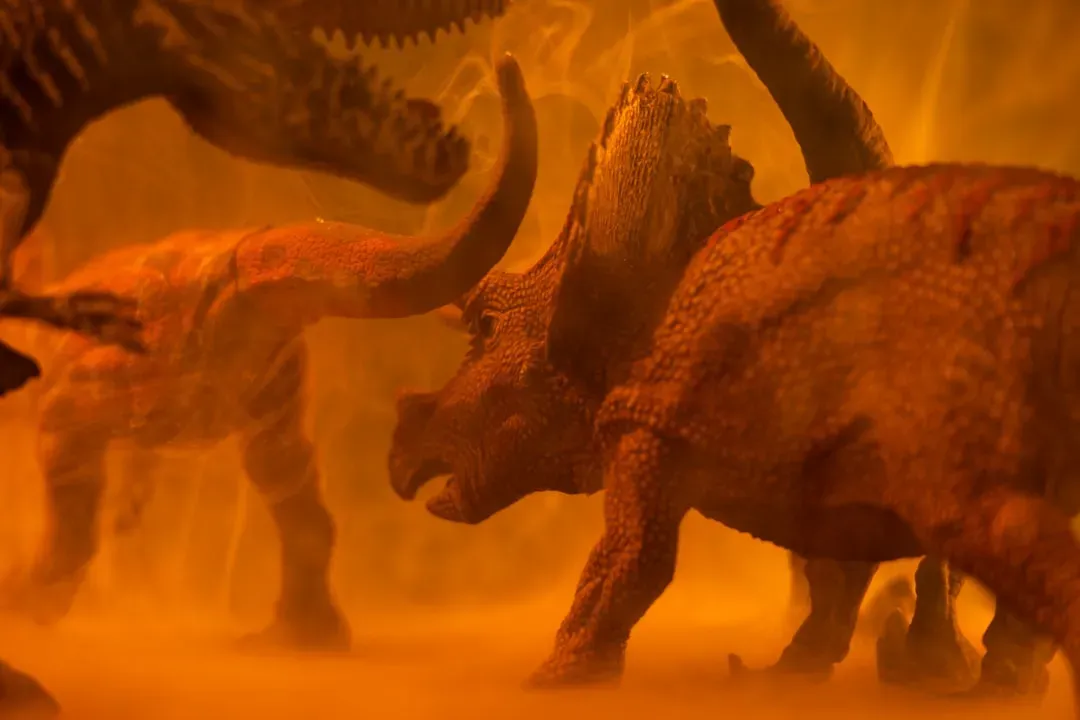 You Are Not Looking at One Dinosaur Story, but Several (Image Credits: Unsplash)