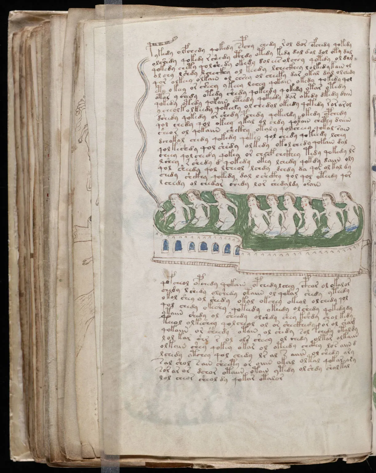2. The Voynich Manuscript: A Book Nobody Can Read (Beinecke Rare Book & Manuscript Library, Yale University ([1])., Public domain)
