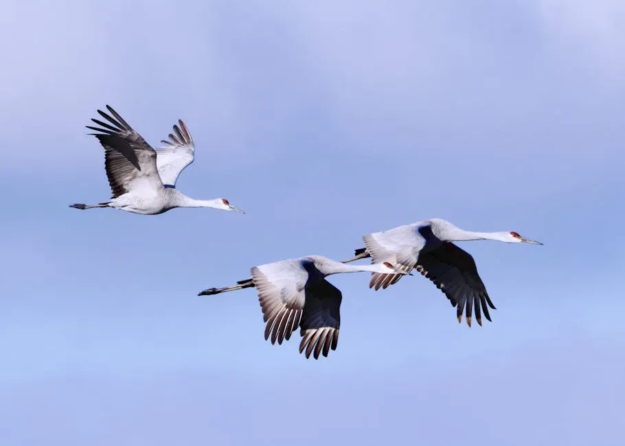 The Role of Weather, Winds, and Ocean Currents (Image Credits: Pexels)