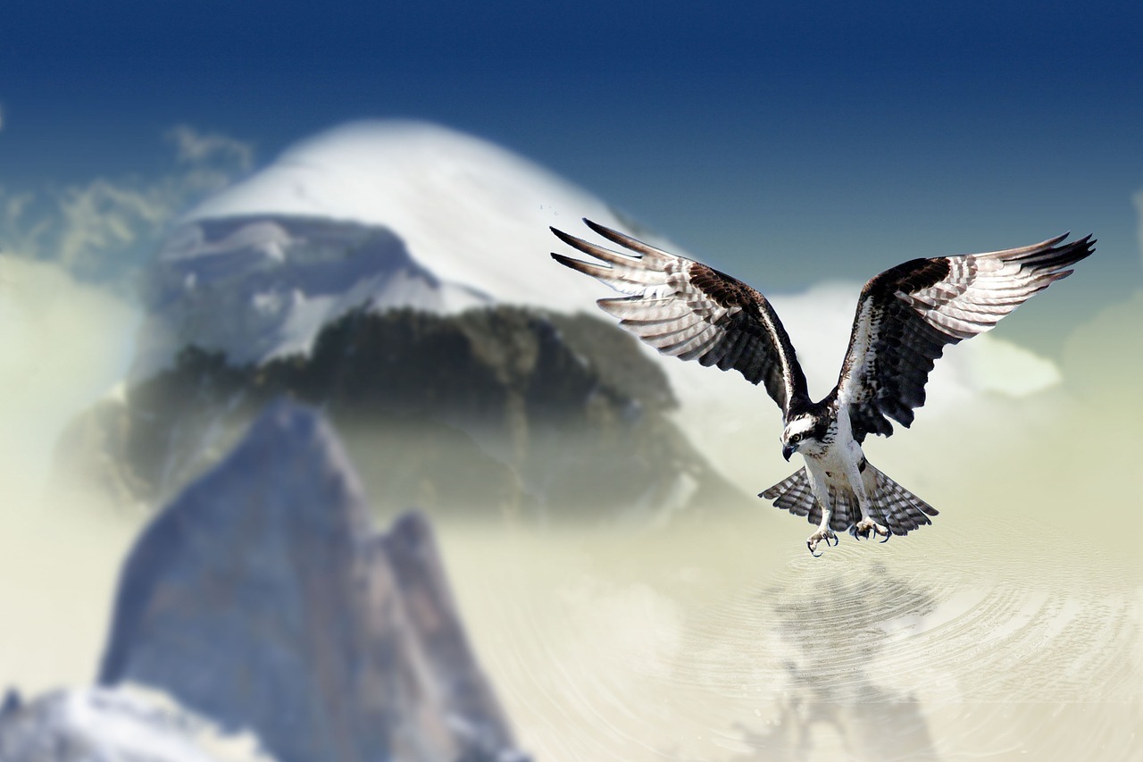 Conclusion (Image Credits: Pixabay)